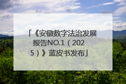 《安徽数字法治发展报告NO.1（2025）》蓝皮书发布