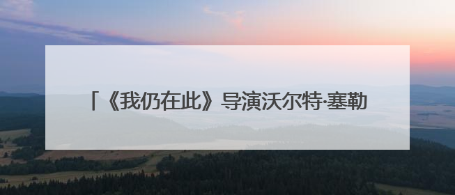 《我仍在此》导演沃尔特·塞勒斯：我喜欢中国山水画的留白