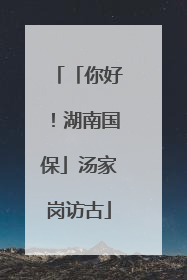 「你好！湖南国保」汤家岗访古