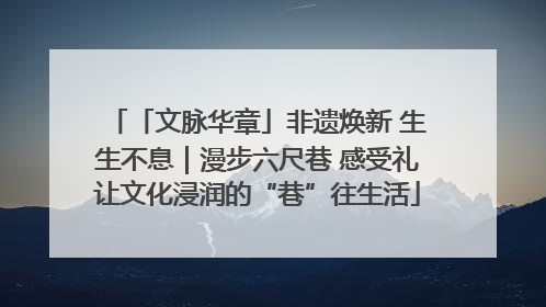 「文脉华章」非遗焕新 生生不息｜漫步六尺巷 感受礼让文化浸润的“巷”往生活