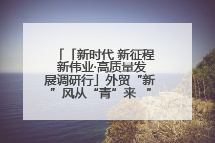 「新时代 新征程 新伟业·高质量发展调研行」外贸“新”风从“青”来 “双向奔赴”启新程