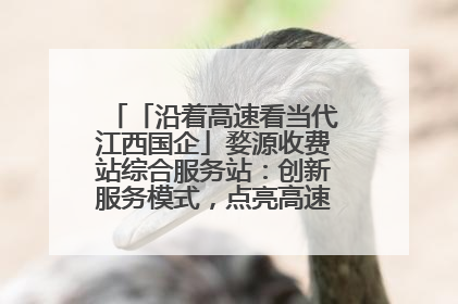 「沿着高速看当代江西国企」婺源收费站综合服务站：创新服务模式，点亮高速出行新体验