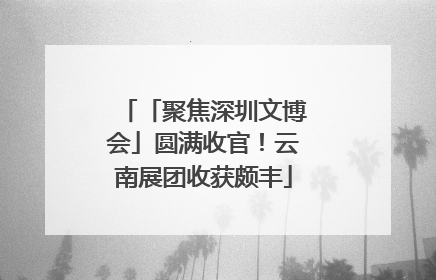 「聚焦深圳文博会」圆满收官！云南展团收获颇丰