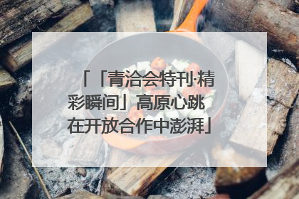 「青洽会特刊·精彩瞬间」高原心跳 在开放合作中澎湃