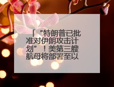 “特朗普已批准对伊朗攻击计划”！美第三艘航母将部署至以色列附近