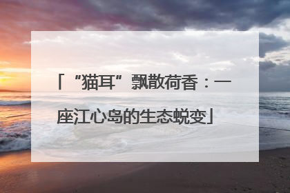 “猫耳”飘散荷香：一座江心岛的生态蜕变