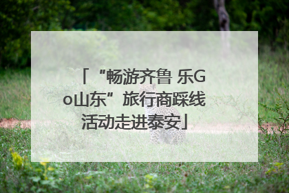 “畅游齐鲁 乐Go山东”旅行商踩线活动走进泰安