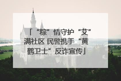 “粽”情守护“艾”满社区 民警携手“黄鹤卫士”反诈宣传