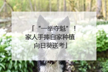 “一举夺魁”！家人手捧自家种植向日葵送考