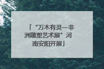 “万木有灵—非洲雕塑艺术展”河南安阳开展
