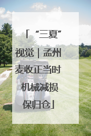 “三夏”视觉｜孟州麦收正当时 机械减损保归仓