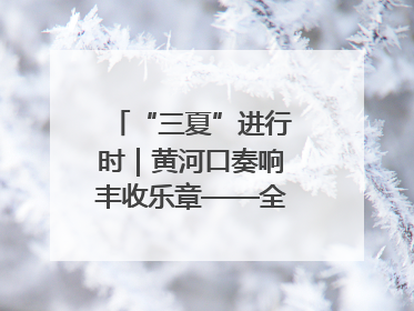 “三夏”进行时｜黄河口奏响丰收乐章——全市小麦进入大面积收获高峰期