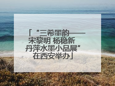 “三希墨韵——宋黎明 杨稳新 丹萍水墨小品展”在西安举办