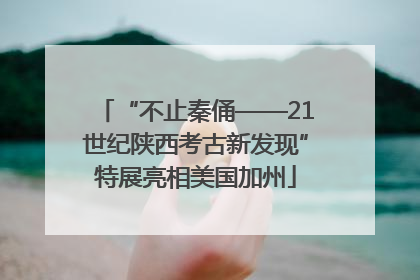 “不止秦俑——21世纪陕西考古新发现”特展亮相美国加州