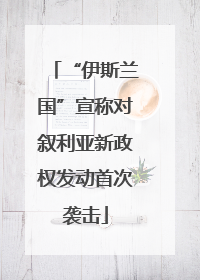 “伊斯兰国”宣称对叙利亚新政权发动首次袭击