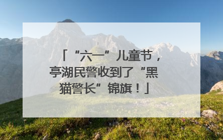 “六一”儿童节，亭湖民警收到了“黑猫警长”锦旗！