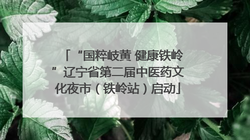 “国粹岐黄 健康铁岭”辽宁省第二届中医药文化夜市（铁岭站）启动