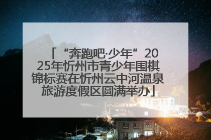 “奔跑吧·少年”2025年忻州市青少年围棋锦标赛在忻州云中河温泉旅游度假区圆满举办