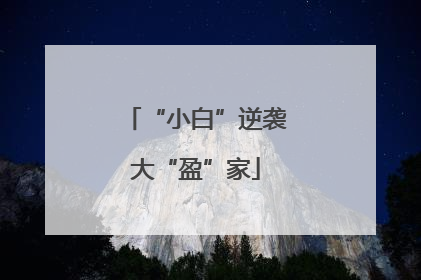 “小白”逆袭大“盈”家