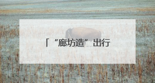 “廊坊造”出行神器有多香？