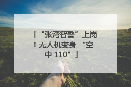 “张湾智警”上岗！无人机变身 “空中 110”
