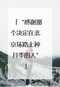 “感谢那个决定在北京环路上种月季的人”