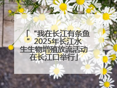“我在长江有条鱼”2025年长江水生生物增殖放流活动在长江口举行