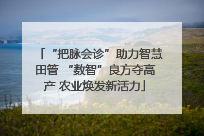 “把脉会诊”助力智慧田管 “数智”良方夺高产 农业焕发新活力