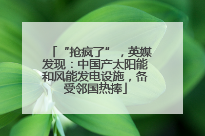 “抢疯了”，英媒发现：中国产太阳能和风能发电设施，备受邻国热捧