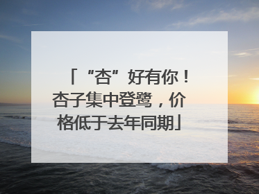 “杏”好有你！杏子集中登鹭，价格低于去年同期
