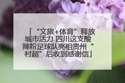 “文旅+体育”释放城市活力 四川这支酸辣粉足球队亮相贵州“村超”后收到感谢信