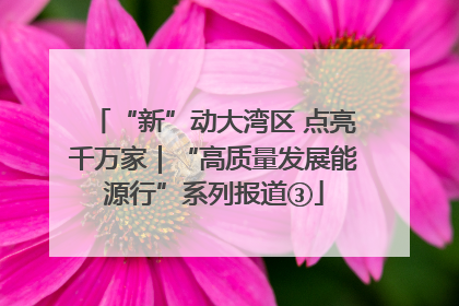 “新”动大湾区 点亮千万家｜“高质量发展能源行”系列报道③