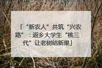 “新农人”共筑“兴农路”：返乡大学生“桃三代”让老树结新果