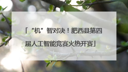 “机”智对决！肥西县第四届人工智能竞赛火热开赛