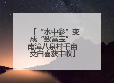 “水中参”变成“致富宝” 南漳八泉村千亩茭白喜获丰收