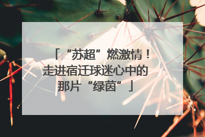“苏超”燃激情！走进宿迁球迷心中的那片“绿茵”