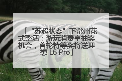 “苏超状态”下常州花式整活：游玩消费享抽奖机会，首轮特等奖将送理想 L6 Pro