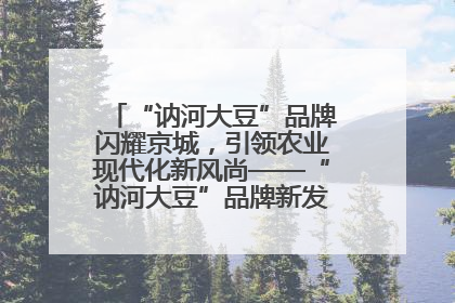 “讷河大豆”品牌闪耀京城，引领农业现代化新风尚——“讷河大豆”品牌新发地推介会圆满落幕