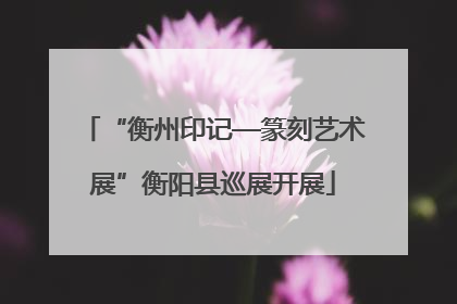 “衡州印记—篆刻艺术展”衡阳县巡展开展