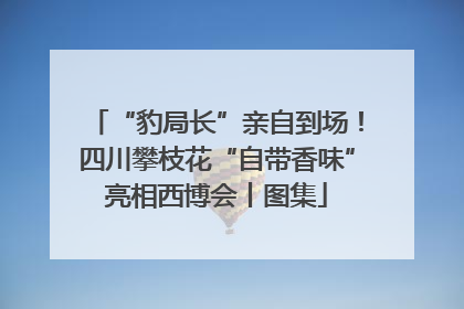 “豹局长”亲自到场！四川攀枝花“自带香味”亮相西博会丨图集