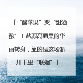 “酸苹果”变“甜酒酿”！盐源高原果的华丽转身，靠的是这场浙川千里“联姻”