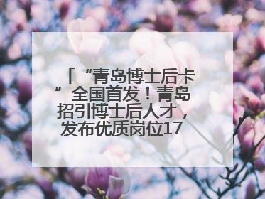 “青岛博士后卡”全国首发！青岛招引博士后人才，发布优质岗位1700余个
