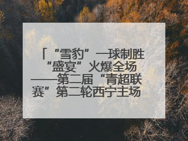 “雪豹”一球制胜 “盛宴”火爆全场——第二届“青超联赛”第二轮西宁主场比赛见闻