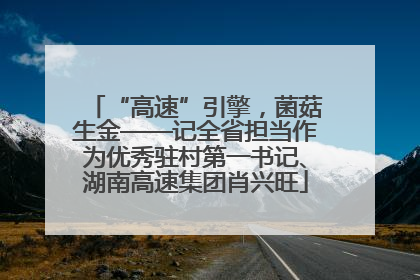 “高速”引擎，菌菇生金——记全省担当作为优秀驻村第一书记、湖南高速集团肖兴旺