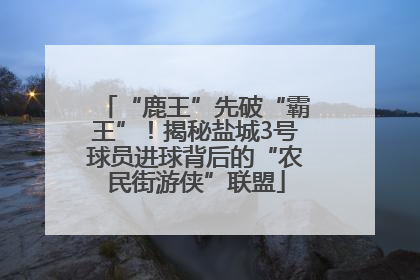 “鹿王”先破“霸王”！揭秘盐城3号球员进球背后的“农民街游侠”联盟