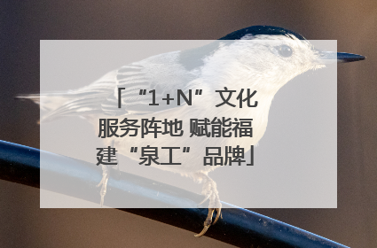 “1+N”文化服务阵地 赋能福建“泉工”品牌