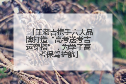 王老吉携手六大品牌打造“高考送考吉运穿搭”，为学子高考保驾护航