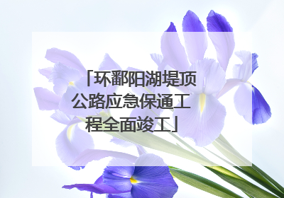 环鄱阳湖堤顶公路应急保通工程全面竣工