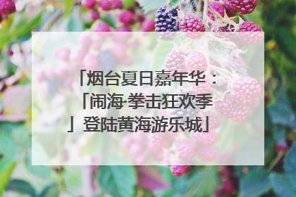 烟台夏日嘉年华：「闹海·拳击狂欢季」登陆黄海游乐城