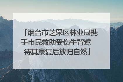 烟台市芝罘区林业局携手市民救助受伤牛背鹭 待其康复后放归自然